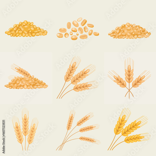 Collection of wheat grains and ears of wheat