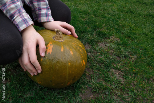Hands are holding a ripe pumpkin on the green grass in the yard. Large ripe pumpkin on the outdoor in the hands of a young girl. The concept of harvesting and gardening. young woman holding a pumpkin