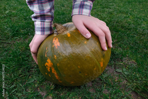Pumpkin in the hands. Girl's hands hold a ripe pumpkin on the green grass in the yard. A big ripe pumpkin outside in the hands of a young girl. Harvest and gardening concept