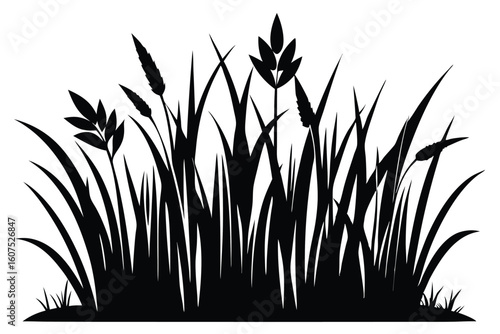 Black Silhouette of Meadow Grass, Reeds and Other Plants in a Flat Design Style