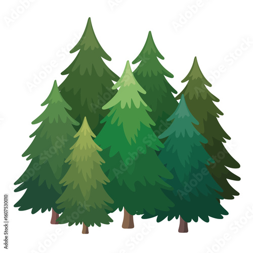 A cluster of lush green evergreen trees in a forest