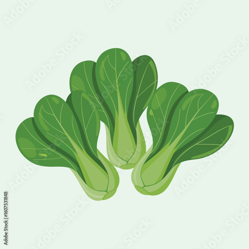 Three fresh green bok choy vegetables arranged on a light green background