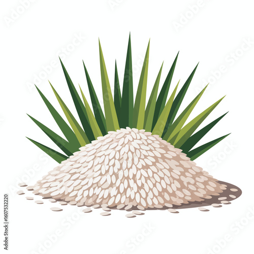 Pile of white beans behind green agave plant