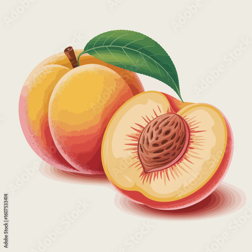 Ripe peaches with one cut open revealing the seed