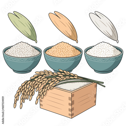 Variety of rice grains and bowls with rice seedlings