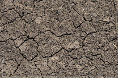 Global warming, Drought in the summer. Dark soil texture closeup