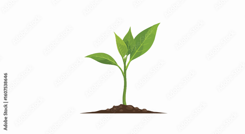Fototapeta premium Small green plant sprout growing in soil, symbolizing hope, growth, and new beginnings for mental health and World Suicide Prevention Day awareness.