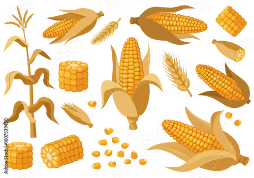 Corn and wheat illustrations with a yelloworange color scheme