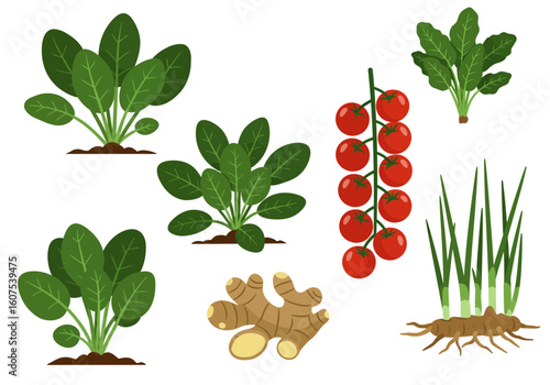 A vibrant display of various vegetables tomatoes spinach ginger and chives each uniquely detailed