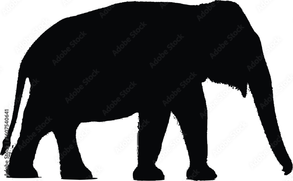 Fototapeta premium Elephant Silhouette - Large African Asian Animal Profile - Isolated on White Wildlife Graphic