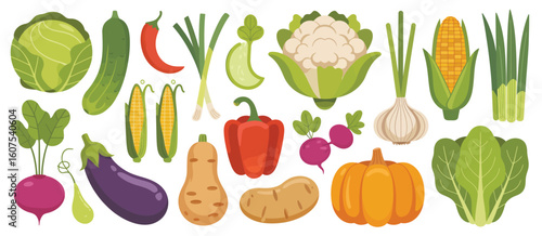 Assortment of fresh vegetables and produce in a colorful collection