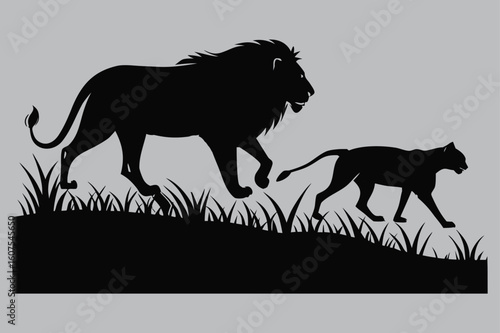 Photography Lion and lioness walking side by side silhouette vector design art and illustrat