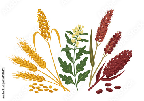 A colorful arrangement of wheat sorghum and other plants is depicted