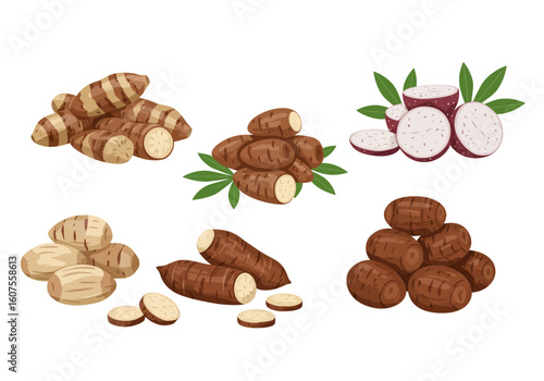 Illustration of six different colored piles of whole and sliced taro root vegetables on a white background