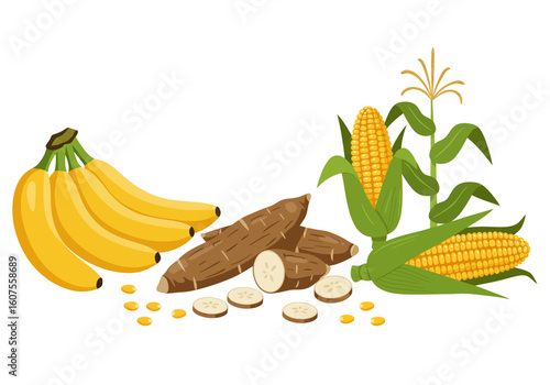 The image features a bunch of bananas cassava and corn on a white background
