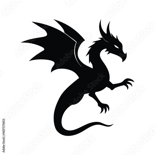 black and white dragon