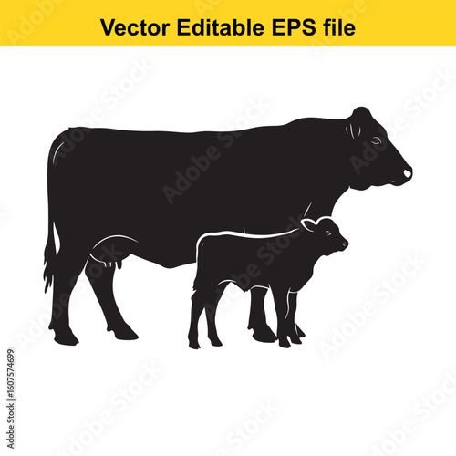 Dairy cow and calf, cow and calf, milk cow, angus cow
