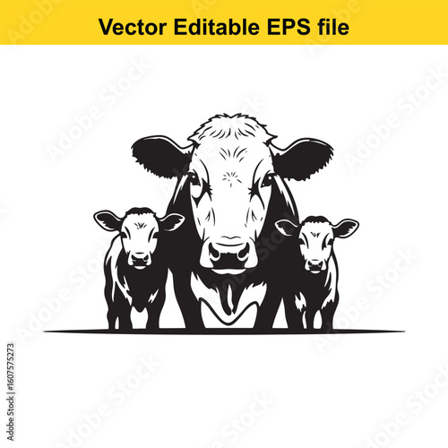 Dairy cow and calf, cow and calf, milk cow, angus cow