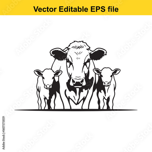 Dairy cow and calf, cow and calf, milk cow, angus cow