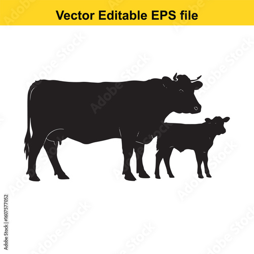 Dairy cow and calf, cow and calf, milk cow, angus cow