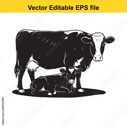 Dairy cow and calf, cow and calf, milk cow, angus cow