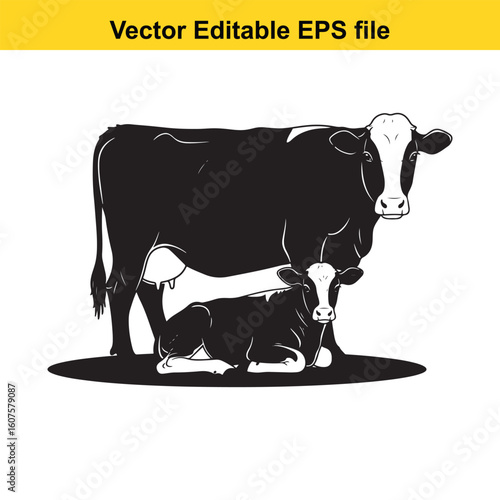 Dairy cow and calf, cow and calf, milk cow, angus cow