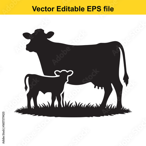 Dairy cow and calf, cow and calf, milk cow, angus cow