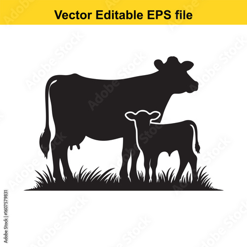 Dairy cow and calf, cow and calf, milk cow, angus cow