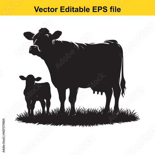 Dairy cow and calf, cow and calf, milk cow, angus cow