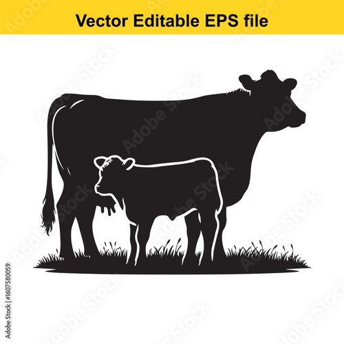 Dairy cow and calf, cow and calf, milk cow, angus cow