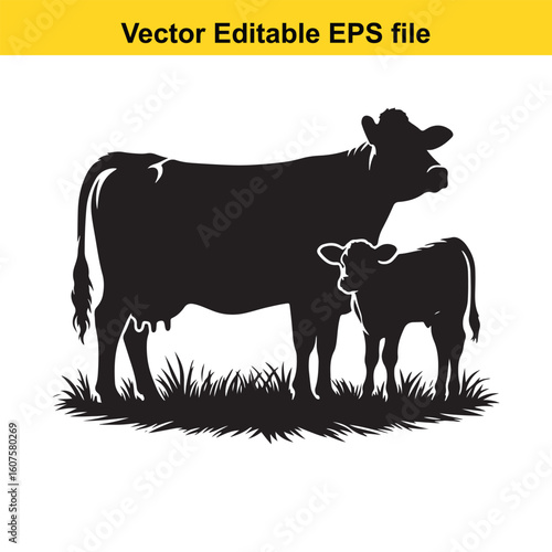 Dairy cow and calf, cow and calf, milk cow, angus cow