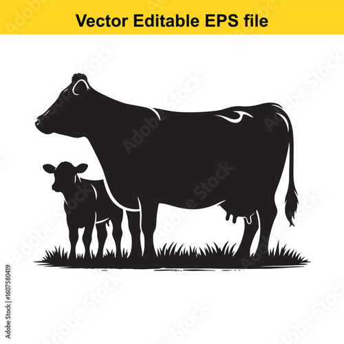 Dairy cow and calf, cow and calf, milk cow, angus cow