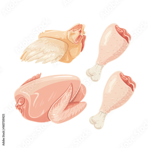 Fresh raw chicken pieces and whole bird isolated on white background