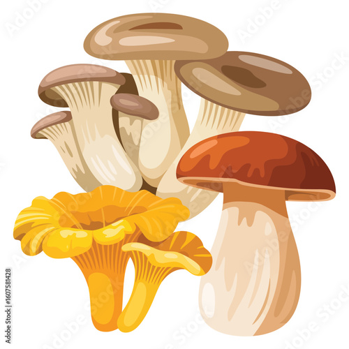 Assortment of fresh edible mushrooms including chanterelle oyster and porcini
