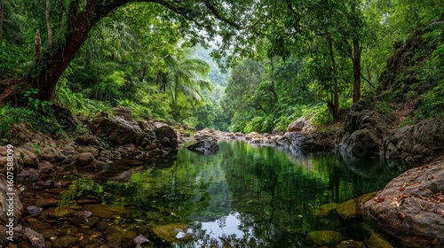 Panorama of a tranquil mountain river flowing through lush green jungle in Goa, India, jungle, mountain, river, Goa, India