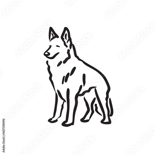 A German Shepherd dog sits facing left on a white background.