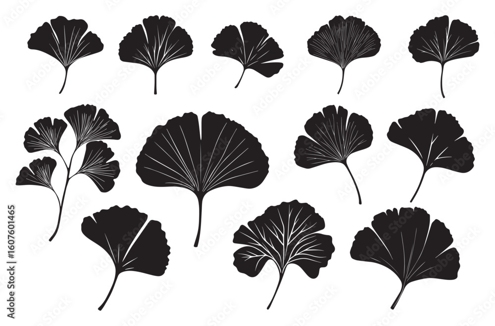 Fototapeta premium flat ginkgo biloba leaf silhouette icon set isolated on transparent background. Nature eco black vector collection