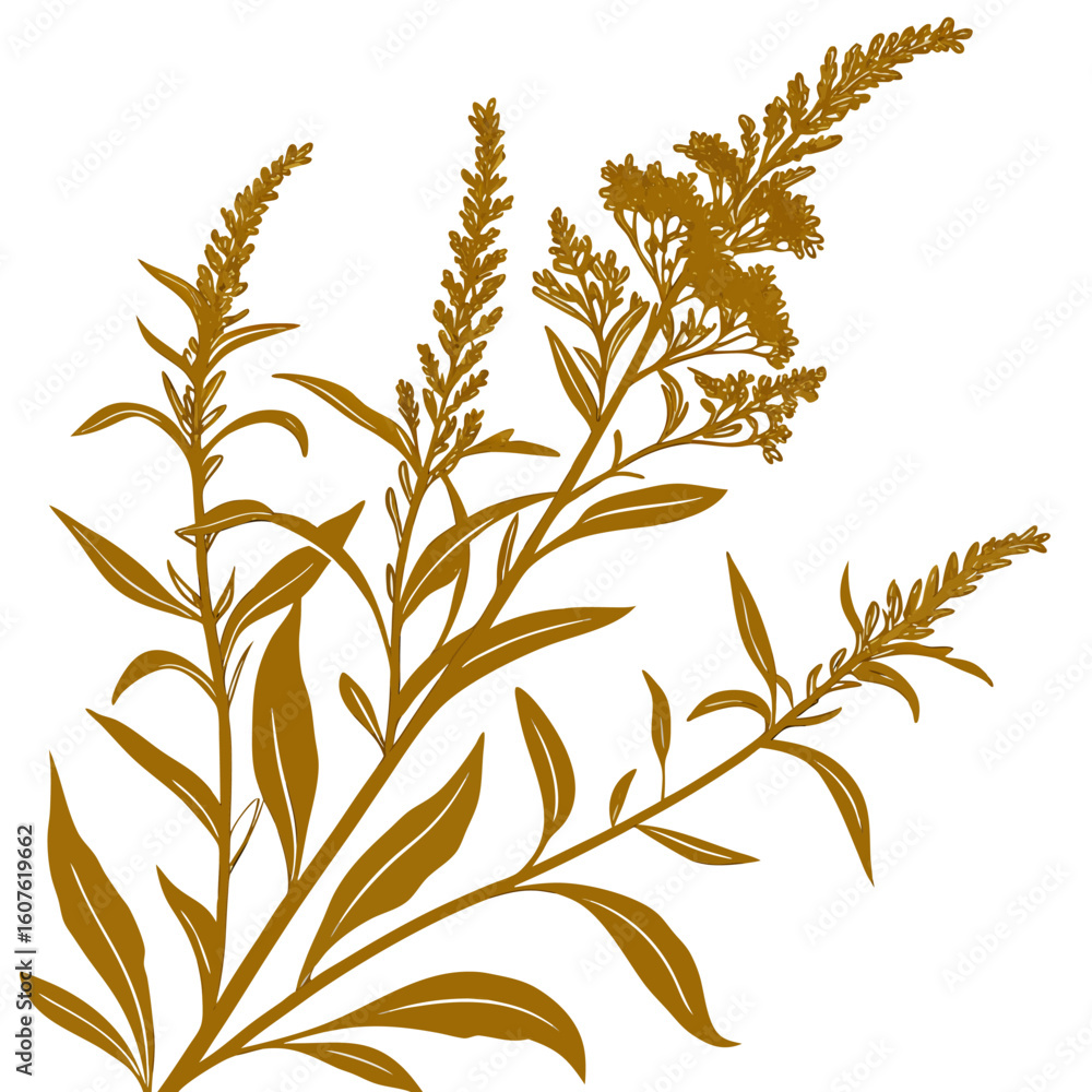 Fototapeta premium seamless pattern with yellow loosestrife