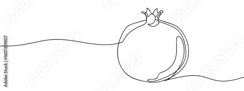 Continuous vector line of pomegranate, fruit on transparent background. editable stroke.
