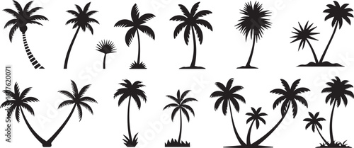 palm tree silhouette vector pack with 12 tropical designs in ai, eps, jpeg, png formats for graphic projects