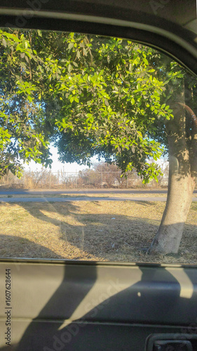 Beautiful sunrise through the car window.