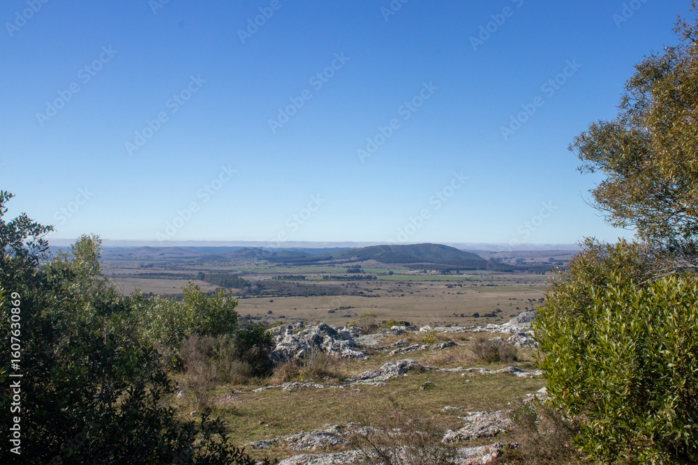 Fototapeta premium Paisaje desde arriba de un cerro