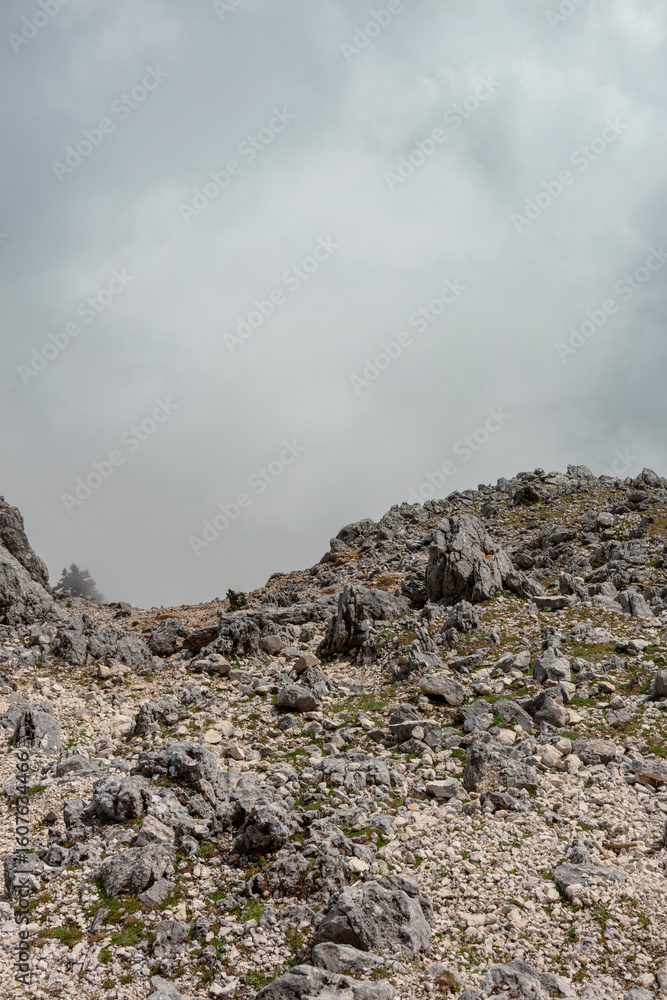 Fototapeta premium Wide view of rocky limestone landscape with scattered vegetation on Kefalonia island.