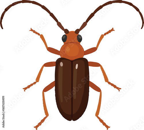 Flat vector longhorn beetle with large curved antennae and shiny shell, vector-friendly, isolated on white