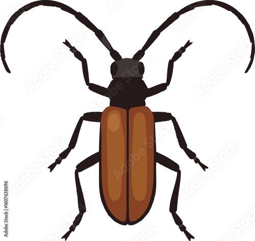 Flat vector longhorn beetle with large curved antennae and shiny shell, vector-friendly, isolated on white