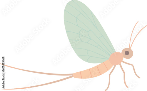 Flat vector mayfly with long twin tails and oval wings, soft pastel style, vector-friendly, isolated on white