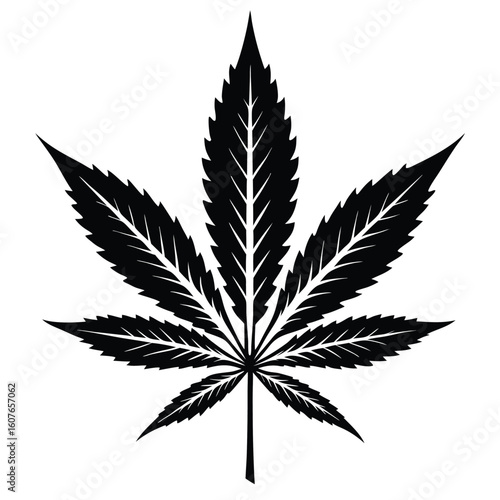 Detailed Black and White Cannabis Leaf Illustration with Intricate Veins and Serrated Edges