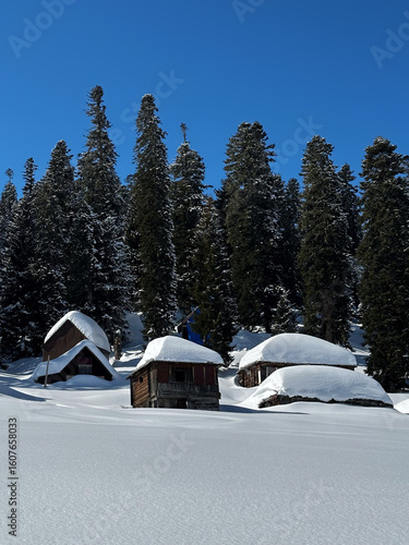 Snow-covered wooden cabins nestled in a serene alpine forest under a clear blue sky. Peaceful winter landscape with tall fir trees and untouched snow in a remote mountain area.