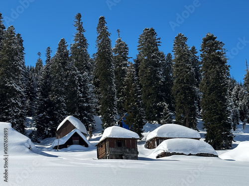 Snow-covered wooden cabins nestled in a serene alpine forest under a clear blue sky. Peaceful winter landscape with tall fir trees and untouched snow in a remote mountain area.