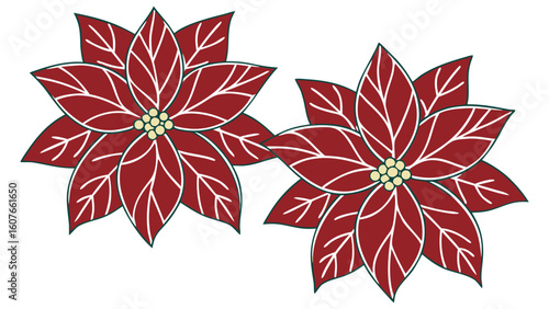 Close‑up of deep red poinsettias with crisp white variegation holiday lights faintly glowing.